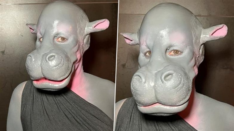 Moo Deng Costume for Halloween 2024: Woman Transforms Into Viral Baby Pygmy Hippo for the Spook Festival, Incredible Pictures Take Over the Internet