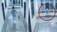 Hyderabad: Man Slips, Falls to Death From Third Floor of Hotel While Chasing Dog; CCTV Video Surfaces