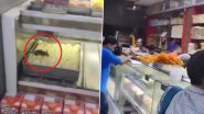 Delhi: Rat Runs Over Sweets at Aggarwal Sweets in Khajuri Chowk, Sparking Health Concerns (Watch Video)