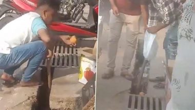 Bulandshahr Shocker: Fruit Vendor Washes Apples in Sewer Water in Uttar Pradesh, Disturbing Video Surfaces