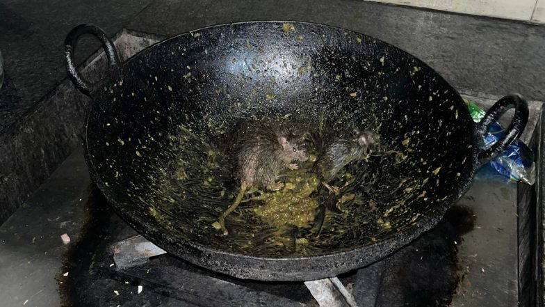 IIT Roorkee Students Protest After Rats Found Roaming in Kitchen Utensils at Mess Kitchen in Radhakrishna Bhawan (See Pics and Videos)