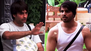 ‘Bigg Boss 18’: Vivian Dsena’s Stardom Views Trigger Debate With Shehzada Dhami on Salman Khan’s Reality Show! (Watch Video)