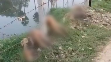 Monkey Death in Ayodhya: 5 Monkeys Electrocuted to Death While Crossing Barbed Boundary Wire in Uttar Pradesh, Horrific Video Surfaces