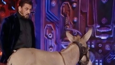 ‘Bigg Boss 18’: Makers Release Donkey ‘Gadharaj’ From Salman Khan’s ‘BB 18’ House After Being Accused of Animal Abuse – PFA Shares Statement Confirming the News