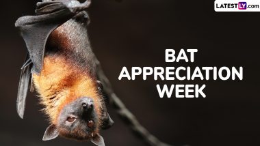 Bat Appreciation Week 2024 Start and End Dates: Know the Significance of the Annual Event Dedicated to the Protection of Bats