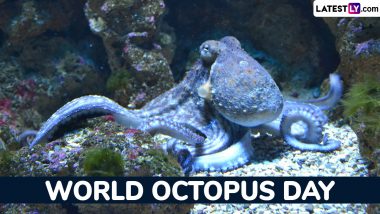 World Octopus Day 2024 Date and Significance: Everything To Know About the Day That Celebrate the Magnetic Marine Creatures