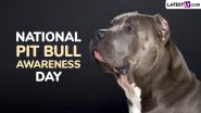 National Pit Bull Awareness Day 2024 Date, History and Significance: What Is the Main Purpose Behind the Annual Event Celebrations in the US?