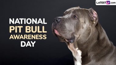 When Is National Pit Bull Awareness Day 2024? Know Date and Significance of the Annual Event