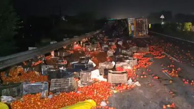 Jhansi: Truck Carrying 1800 Kg of Tomatoes Overturns on UP Highway, Police Stand Guard All Night to Prevent Loot Amid Soaring Prices (Watch Video)