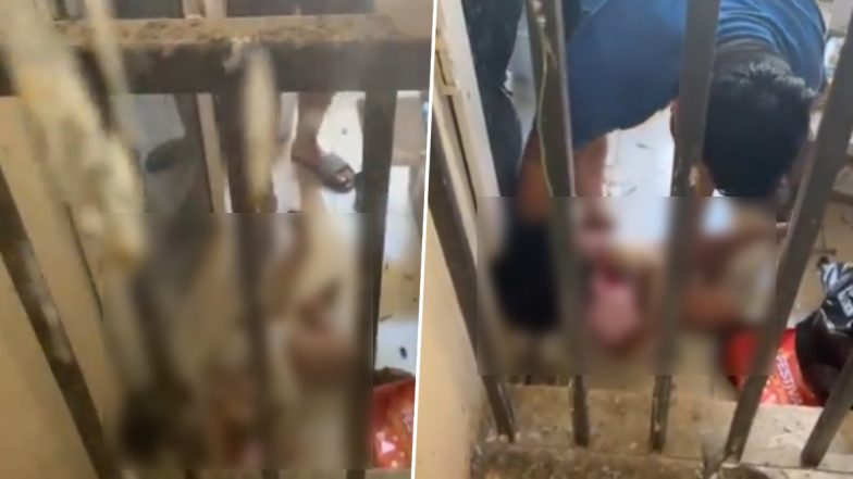 Greater Noida: 3-Year-Old Girl Miraculously Survives After Falling From 27th Floor of Building to 12th in Gaur City, Taken to Hospital (Video)