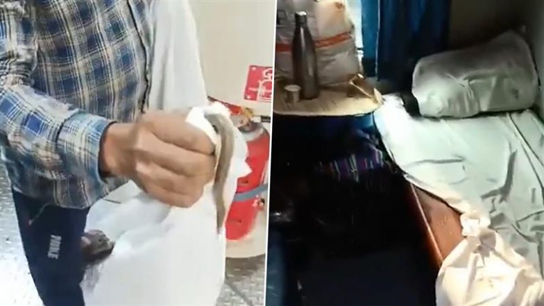 Snake on Train: Railways Responds After Snake Found in AC 2-Tier Coach of Jharkhand-Goa Train (Watch Videos)