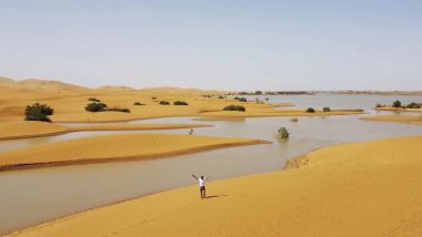 Sahara Desert: Water Gushes Through Palm Trees and Sand Dunes After Rare Rain in Sahara Wasteland (See Pics and Video)