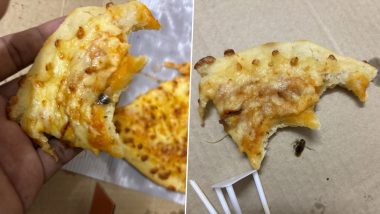 Insect Found in Pizza: Customer Demands Refund of Payment After Finding Dead Insect in Pizza, Zomato Apologises (See Pics)