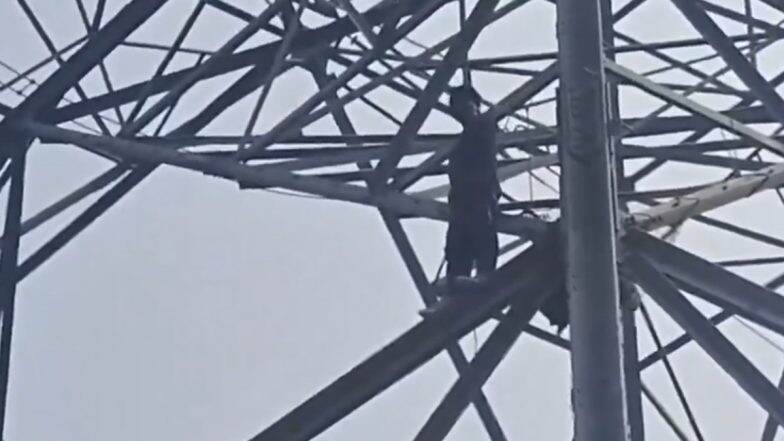 Delhi Shocker: Man Climbs High-Voltage Pole in Yamuna Khadar, Police and Fire Brigade on Scene (Watch Video)