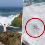 Indonesia: Young Tourist Feared Dead After Massive Wave Drags Him Into Sea During Photo Session at Kedung Tumpang Beach, Terrifying Video Surfaces