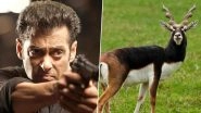 What Is the Salman Khan Blackbuck Poaching Case? Know About the Incident During &lsquo;Hum Saath Saath Hain&rsquo; Shoot