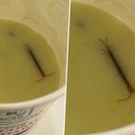 Centipede Found in Raita: Indian Railways Passenger Orders Food in VIP Executive Lounge, Finds Live Insect in His IRCTC Meal (See Viral Pic)