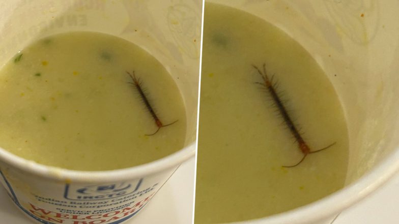 Centipede Found in Raita: Indian Railways Passenger Orders Food in VIP Executive Lounge, Finds Live Insect in His IRCTC Meal (See Viral Pic)