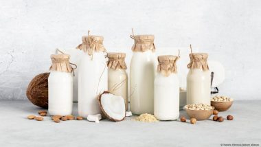 What's in a Plant-based Milk?