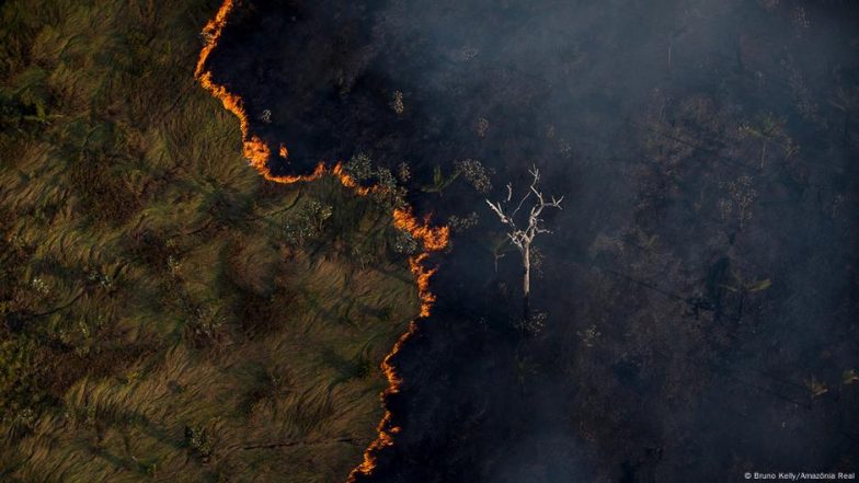 How to Protect the Amazon and Who Should Pay
