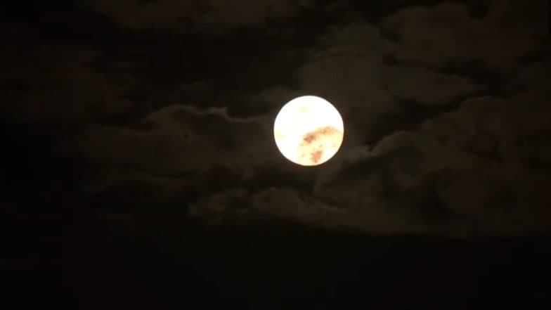 Supermoon 2024: Year’s Largest and Brightest Full Moon Witnessed in Delhi, Video Surfaces