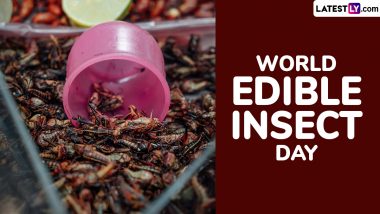 World Edible Insect Day 2024: Can Eating Insects Benefit Health? Bugs, Crickets and Other Edible Insects, Fun Facts About Consuming the Creepy Crawlies