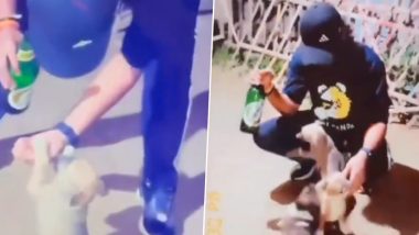 Animal Cruelty in Agra: Man Feeds Beer to Dog Puppy for Instagram Reel, Uttar Pradesh Police Launches Probe After Video Goes Viral