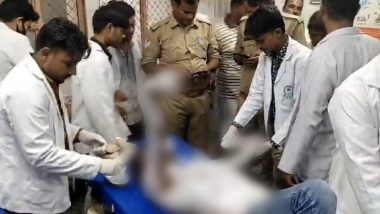 Lucknow Shocker: Man Attempts Self-Immolation Outside Uttar Pradesh’s State Assembly, Hospitalised; Disturbing Video Surfaces