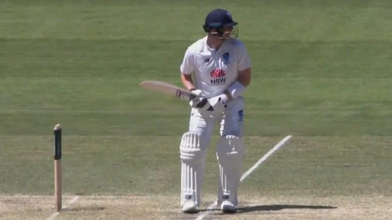 Steve Smith Dismissal Video in Sheffield Shield 2024–25: Australian Senior Batsman