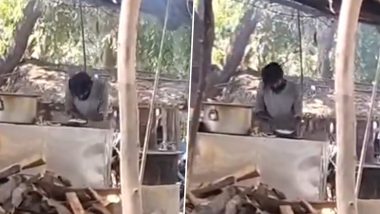 Barabanki Shocker: Worker Seen Spitting on Rotis at Roadside Hotel, Video Goes Viral