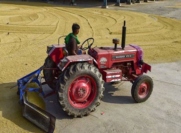 Business News | Tractor Sales of M&M,  Escorts Kubota See Marginal Domestic Market Growth in September, Substantial Drop in Exports