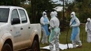 World News | Marburg Virus Results in over 300 Infections and 8 Deaths in Rwanda