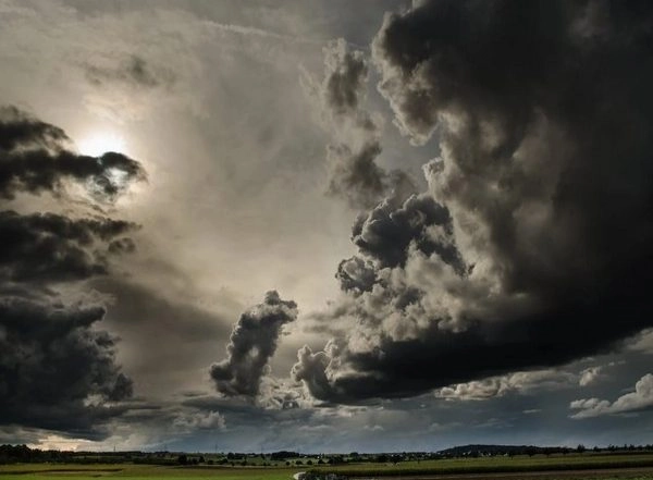 Business News |  India Received About 8% More Rainfall This Monsoon Season