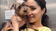 Entertainment News | Shraddha Kapoor Shares Cute Picture with Her 'little Kanchka' on Navaratri