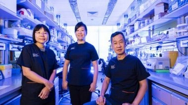 Business News | Promising Cell Therapy Offers Hope for Relapsed or Refractory T-Cell Leukaemia