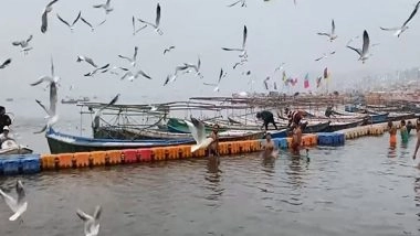 India News | UP: Prayagraj Draws Tourists as Siberian Birds Flock to Triveni Sangam Early This Year