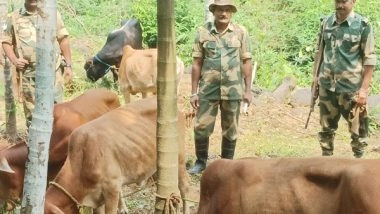 India News | Meghalaya: BSF Foils Cattle Smuggling Bid on International Border