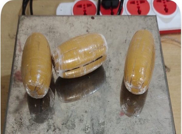India News | Mumbai Customs Seize Gold Worth Rs 1.2 Crore, Two Arrested