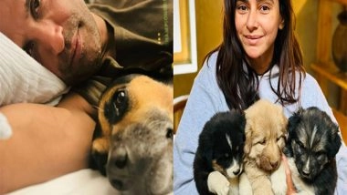 Entertainment News | Farhan Akhtar Jokes About Shibani's Visit to Ladakh in Adorable Post