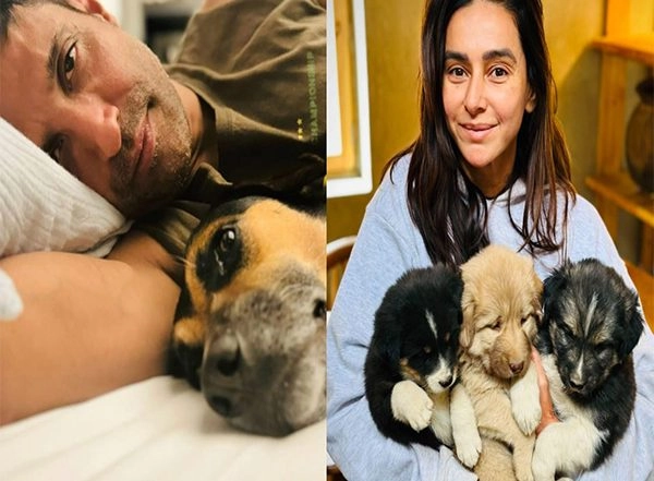 Entertainment News | Farhan Akhtar Jokes About Shibani's Visit to Ladakh in Adorable Post