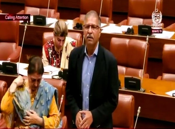 World News | Pak Senator Slams Govt over Constitutional Amendment Bill