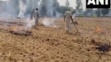 India News | Punjab Farmers Urge Government for Permanent Solution to Stubble Burning Amid Strict Penalties