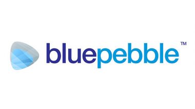 Business News | Blue Pebble Limited H1 FY25 Results: PAT Soars by 356.27 Per Cent