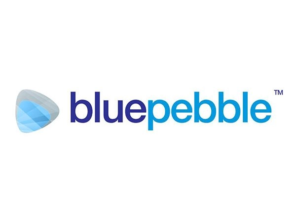Business News | Blue Pebble Limited H1 FY25 Results: PAT Soars by 356.27 Per Cent