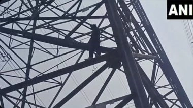 India News | Unidentified Man Climbs High-voltage Electric Pole in Yamuna Khadar, Delhi