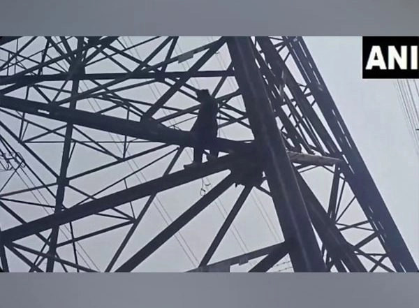 India News | Unidentified Man Climbs High-voltage Electric Pole in Yamuna Khadar, Delhi