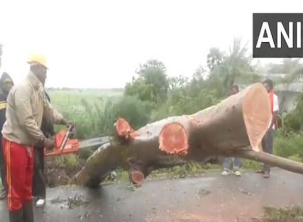 India News | Cyclone Dana: Restoration and Relief Work Begins in Bhadrak