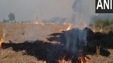 India News | Stubble Burning Incidents Reported in Punjab, Haryana Despite SC's Criticism