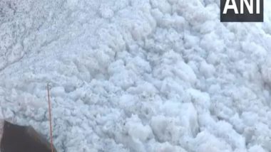 India News | Delhi: Thick Toxic Foam Floats in Yamuna River Near Kalindi Kunj