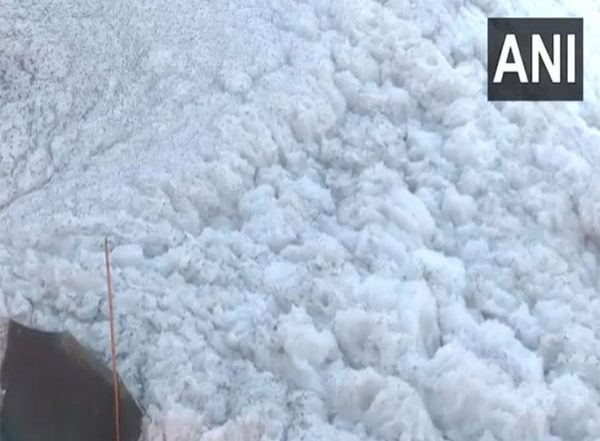 India News | Delhi: Thick Toxic Foam Floats in Yamuna River Near Kalindi Kunj